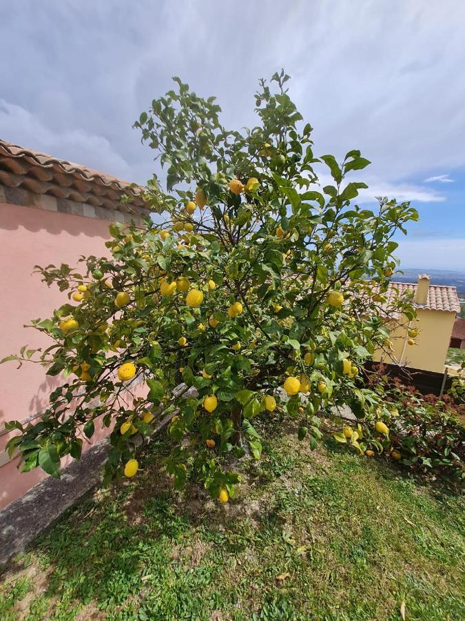 Adorable Maison Independante 30M2 Avec Piscine En Saison Cabris Zewnętrze zdjęcie